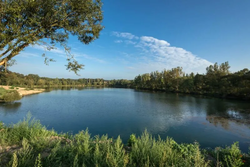 Widok na zbiornik wodny w otoczeniu przyrody