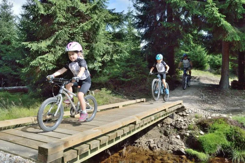 Dzieci w kaskach jadą rowerami górskimi przez drewniany mostek na leśnym szlaku, pokonując nierówny odcinek między świerkami.