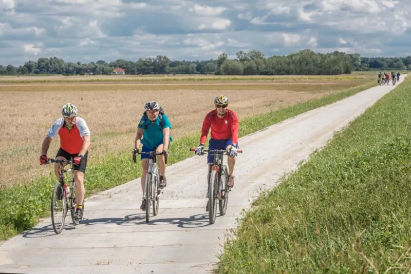 Trójka rowerzystów jadąca prostą, polną drogą przy słonecznej pogodzie