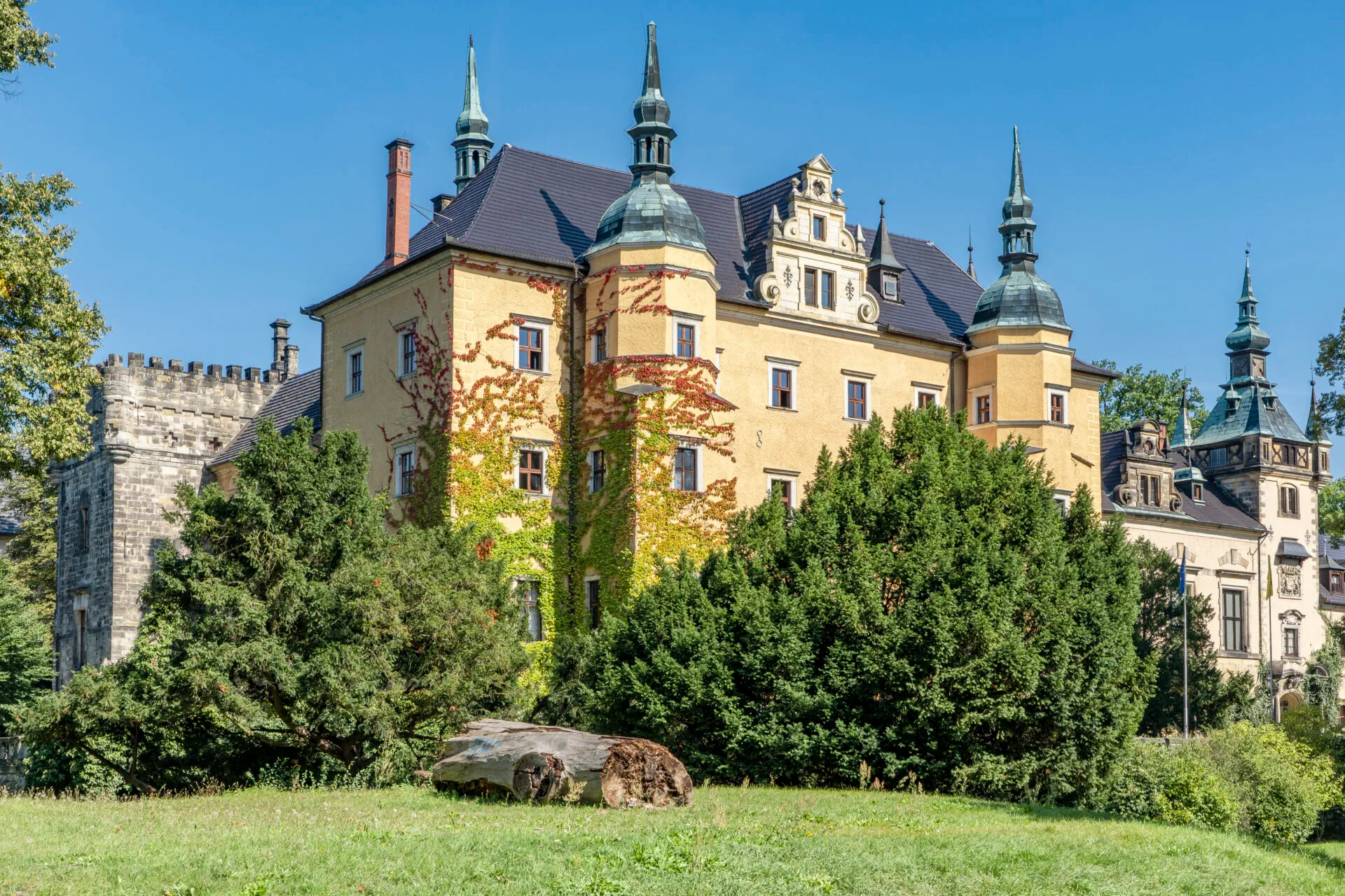 Średniowieczny Zamek w kolorach odcienia żółtego w otoczeniu lasu