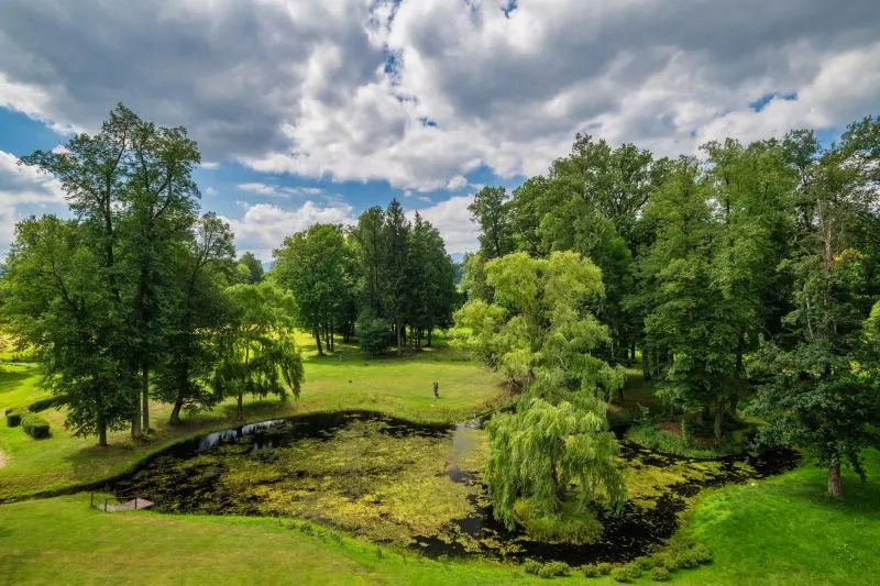 Zielony park Pałacu Wojanów obejmuje rozległy trawnik, staw porośnięty roślinnością, stare drzewa i kręte alejki pod dynamicznym letnim niebem.