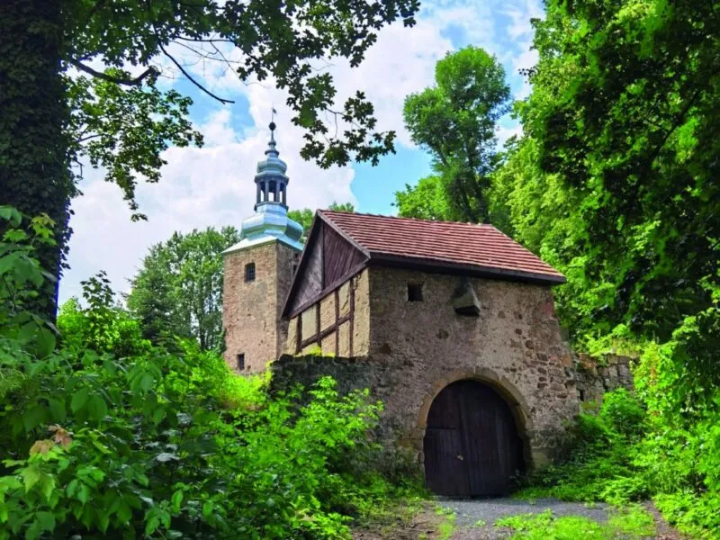 Widok na stare, częściowo otynkowane kamienne zabudowania kościoła romańskiego w otoczeniu bujnej przyrody