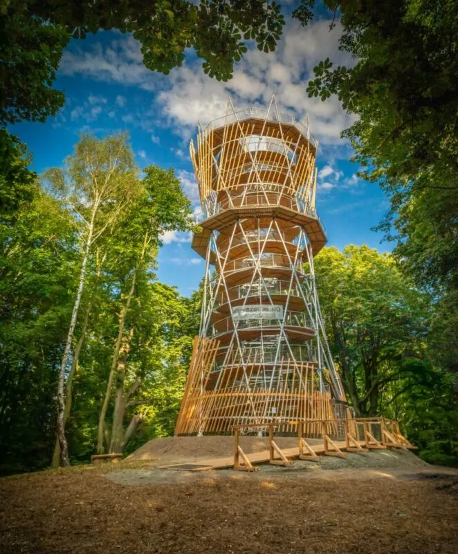 Widok na metalowo-drewnianą wieżę widokową w otoczeniu wysokich, zazielenionych drzew.