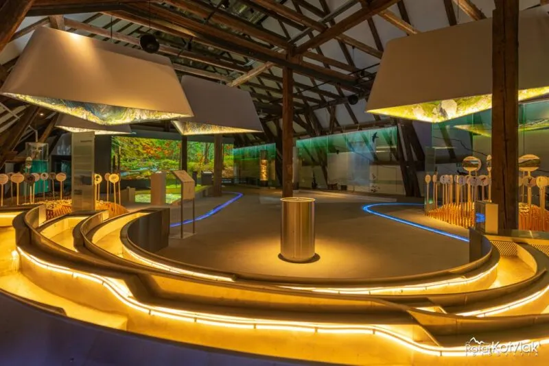 The modern hall of the Nature and Education Center in Sobieszów features gold-lit exhibits, organic shapes of platforms, and interactive stations.