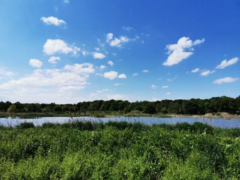 Widok na rzekę, wśród zieleni, w tle błękitne niebo z kilkoma chmurami.