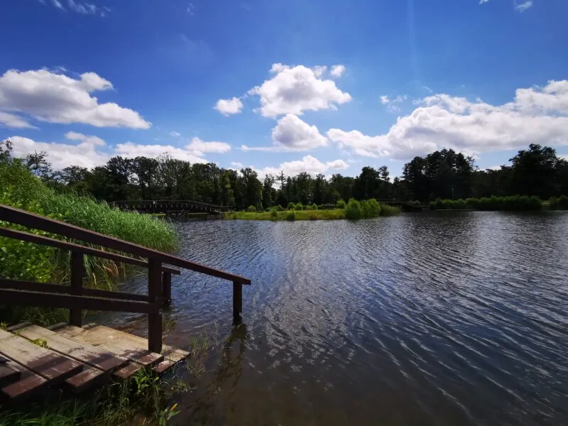 Staw z widocznym zejściem w postaci schodów z poręczami w otoczeniu zieleni