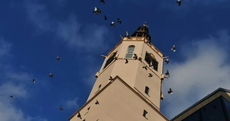 widok z dołu na wieże ratuszową, która jest w kolorze beżowym. na niebieskim niebie widać rzadkie chmury