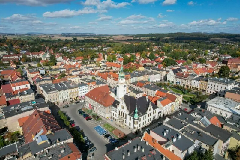 Widok z lotu ptaka na rynek, mnóstwo budynków, w tle drzewa i błękitne niebo.