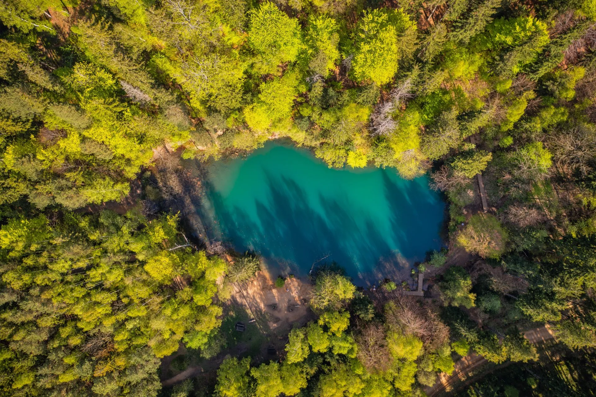 Widok na jeziorko, wśród przyrody.