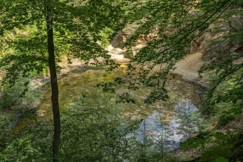 Widok na jeziorko, wśród przyrody.