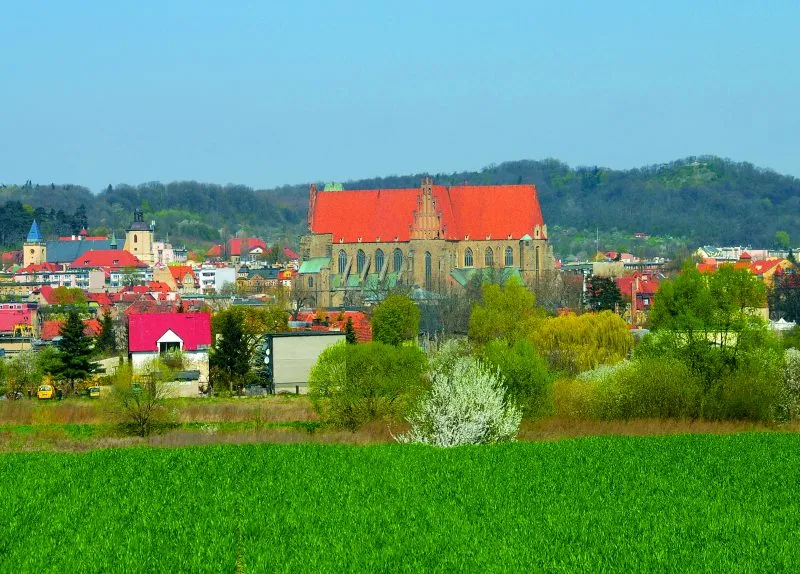 Panorama Strzegomia z widoczną Bazyliką i wzgórzami w tle