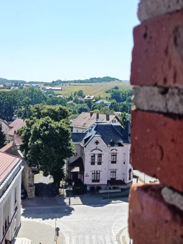 Widok z Baszty Kowalskiej w Złotoryi