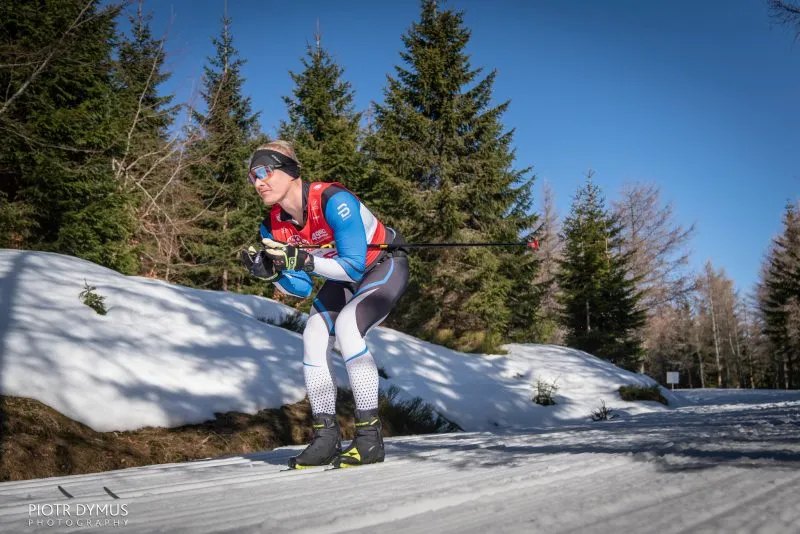 A cross-country skier in a sports outfit traverses a spring section of the Bieg Piastów trail, passing spruce trees under an intensely blue sky.