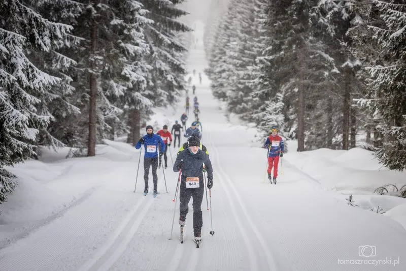 Cross-country skiers compete on the snow-covered Bieg Piastów track, leading through a dense spruce forest in a winter mountain landscape.