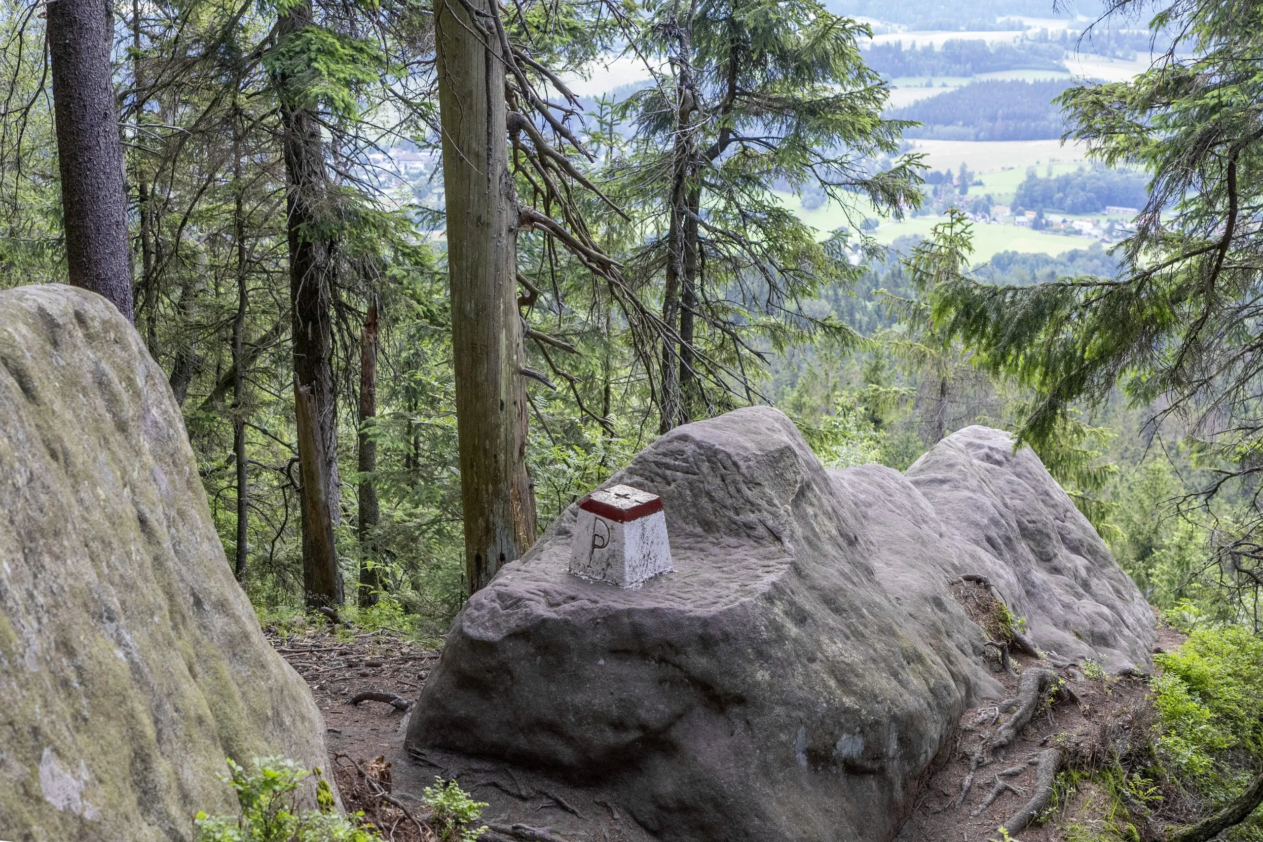 The narrow path of the Błędne Skały leads between large sandstone blocks and dense spruces, with a red-and-white trail marker on a rock.