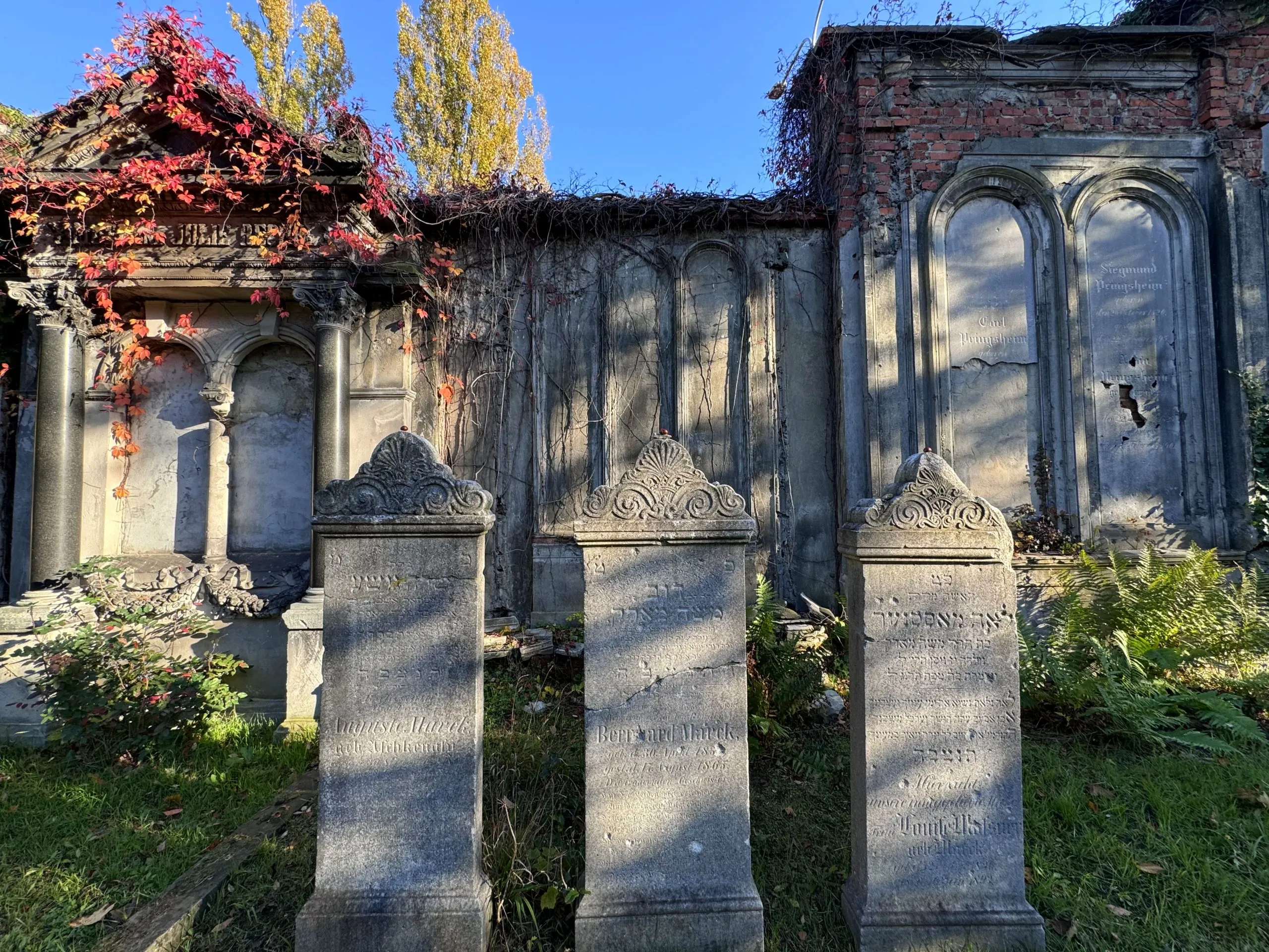Zdjęcie kamiennych płyt nagrobnych na terenie cmentarza we  Wrocławiu